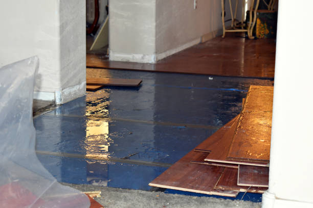 Professional Sewage Cleanup technician working in Dania, FL